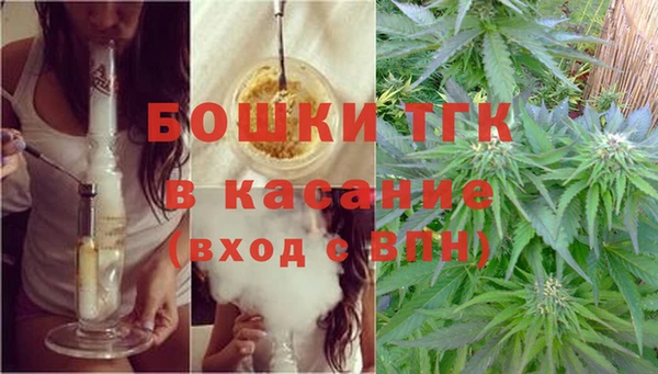 мяу мяу мука Арсеньев