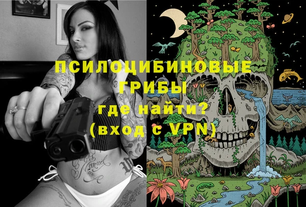 PSILOCYBIN Балахна