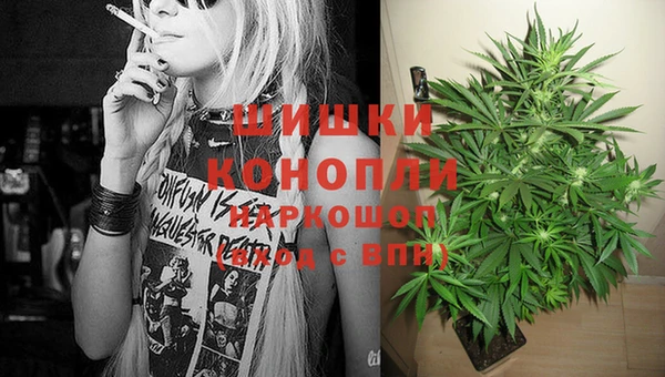 прущие крисы Аркадак