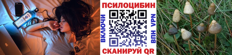 darknet клад  Тутаев  Псилоцибиновые грибы прущие грибы 